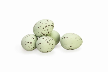 Kieviteitjes Groen 2 kg