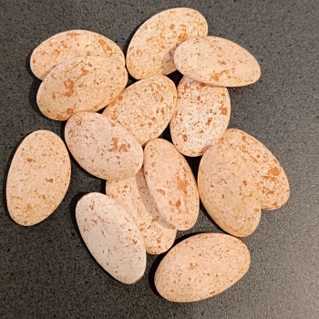 Suikerbonen Marbré Terra - 1 kg [EXCLUSIEF BIJ DE SNOEPERIE]