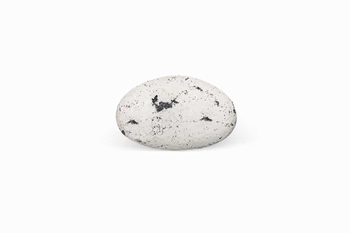Suikerbonen Marbré Zwart 1 kg